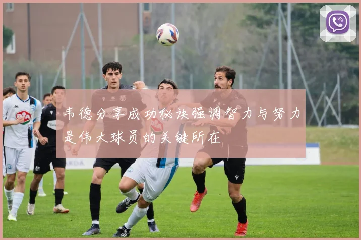 韦德分享成功秘诀强调智力与努力是伟大球员的关键所在